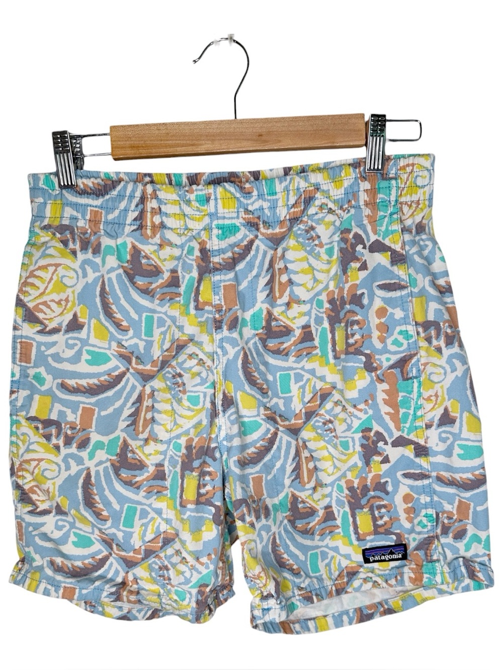 Patagonia Men's Funhoggers Cotton Shorts Size Small Thriving Planet Lago Blue